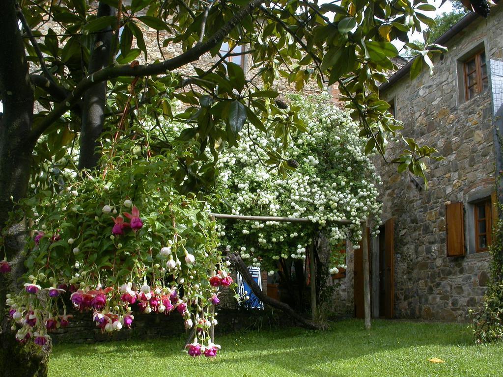 Bed and Breakfast Fattoria Poggerino Radda in Chianti Pokoj fotografie