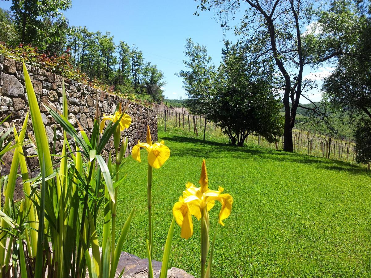 Bed and Breakfast Fattoria Poggerino Radda in Chianti Exteriér fotografie